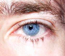 Profil de Senna, 55 ans, Escorte à Marnach