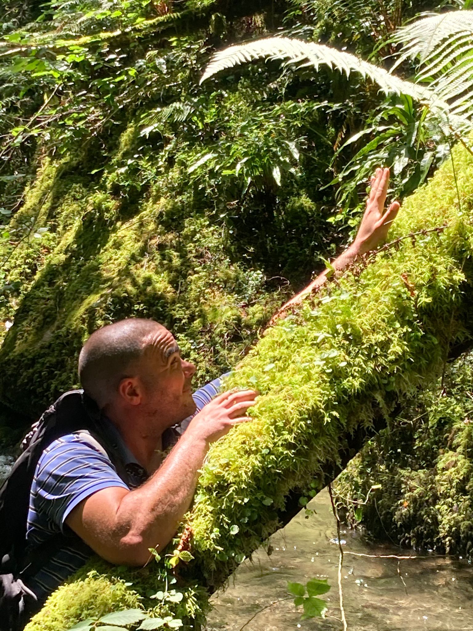 Profil de Till, 41 ans, Escorte à Colpach-Bas