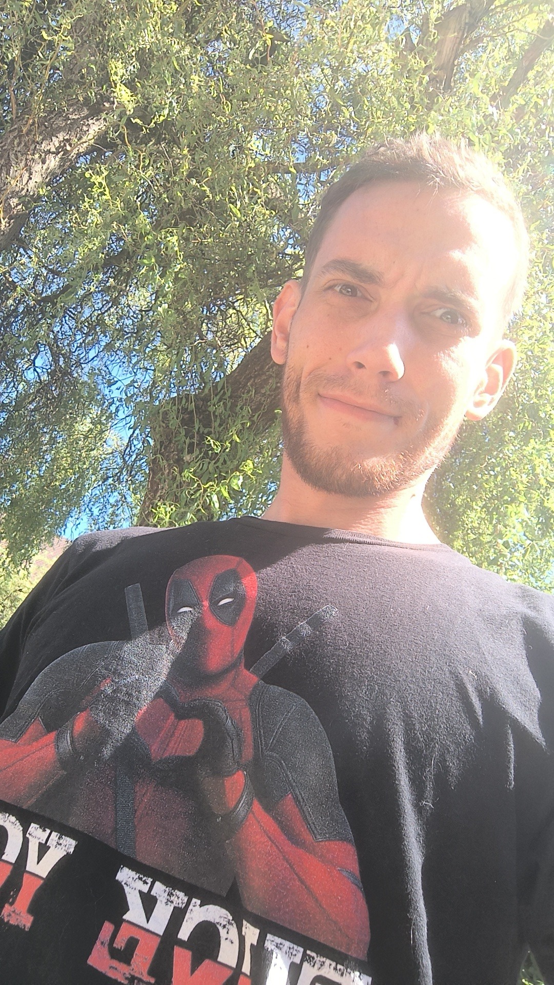 Profil de Aldin, 29 ans, Escorte à Maulusmühle