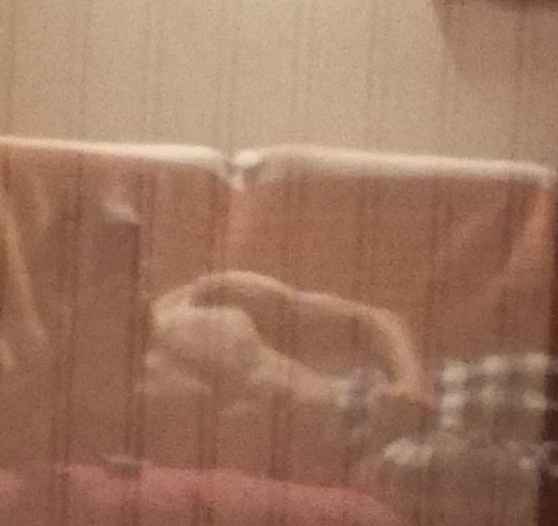 Profil de Illyas, 23 ans, Escorte à Schimpach